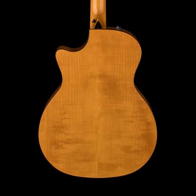 Taylor Custom Select 414ce Big Leaf Maple/Sitka Spruce, Tort Binding #73049 image 4