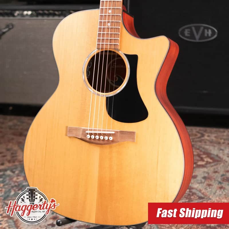 Eastman PCH1-GACE Grand Auditorium Acoustic/Electric Guitar with Gig Bag image 1