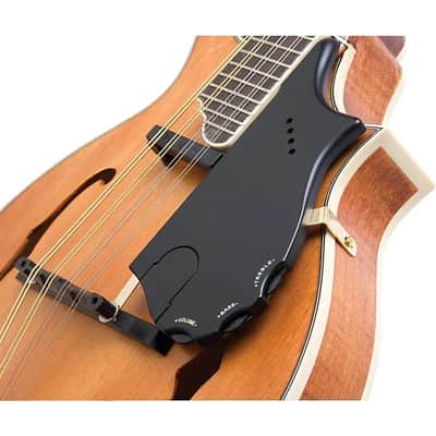 Epiphone MM-50E Professional Mandolin - Natural image 12
