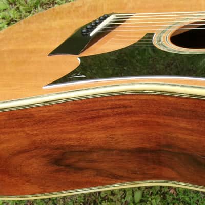 1973 Yairi YW600G Grammer Guitar Style New Jacaranda - Natural+Flight Case image 23