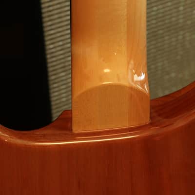 PRS SE Custom 24 w/ Bird Inlays - Blue Flame Top image 10