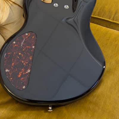 Alien Audio Constellation 5 2023 - Black image 7