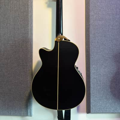 Ibanez AEG10NE Nylon Acoustic-Electric with Fishman Aura Pro Upgrade image 10