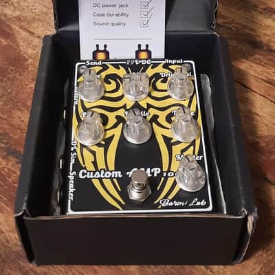 Baroni-Lab Custom Hand-Made Italian 100w Guitar Amp image 12