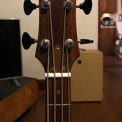 Univox AHB-1 Lucy Lucite Acrylic Plexiglass Bass 1970s Dan Armstrong image 6