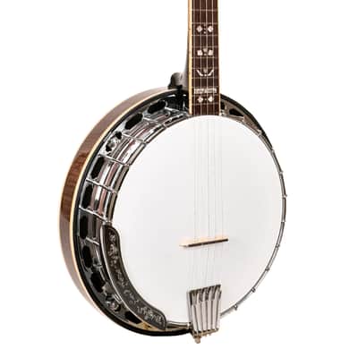 Gold Tone OB-250LW/L: Lightweight Orange Blossom Banjo with Case image 13