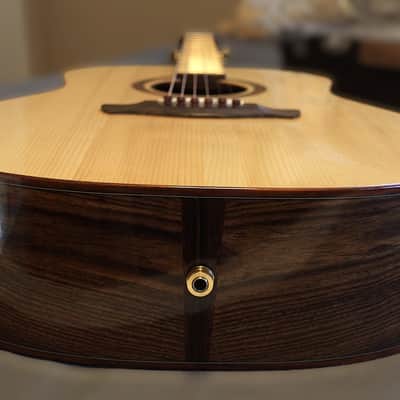 Peterson D-100 MY (2021) USA Handbuilt Boutique Acoustic Dreadnought - Fishman Matrix Infinity, OHSC image 21