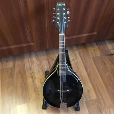 Ashbury Mandolin w/Case image 4