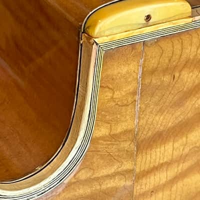 D'Angelico Excel Archtop image 12
