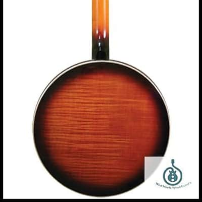 Gold Tone OB-250: Lightweight Orange Blossom Banjo with Case image 2