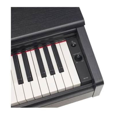 Yamaha YDP105 Entry-Level Arius Traditional Console Digital Piano with Bench (Black Walnut) image 5