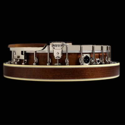 Deering Winston Marshall Signature Model image 4