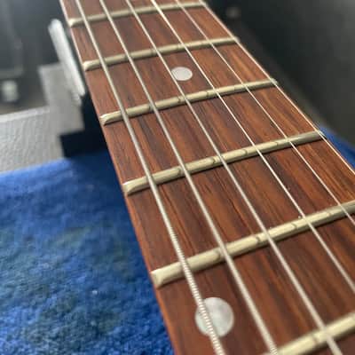 Hanegem Explorer (James Hetfield ESP style) image 11