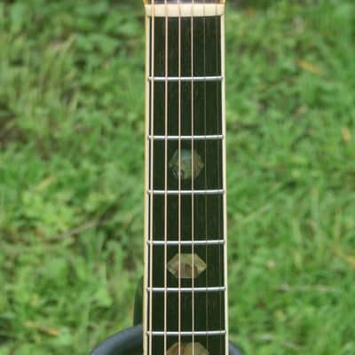 1976 Takamine Elite TW100 Jacaranda Body Natural+Vintage Hard Case image 6