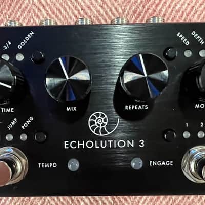 🐷 Pigtronix Echolution 3 2021 - MIDI multi-tap stereo modulation delay  🐬 image 1