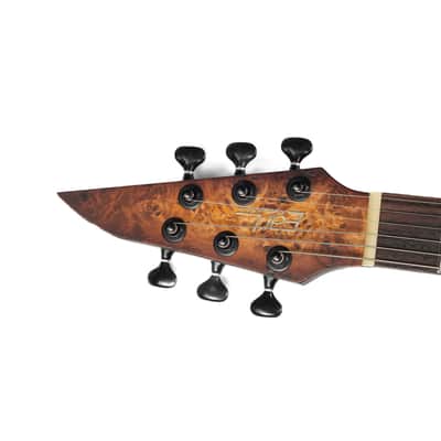 EART EXP-H6-ULTRA, Roasted Bookmatch Mahongay,24 Stainless Steel Frets image 6