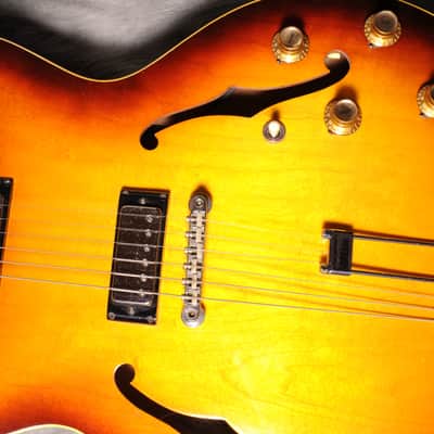 Immagine Epiphone Riviera E 360 TD 1967 - Sunburst - 8