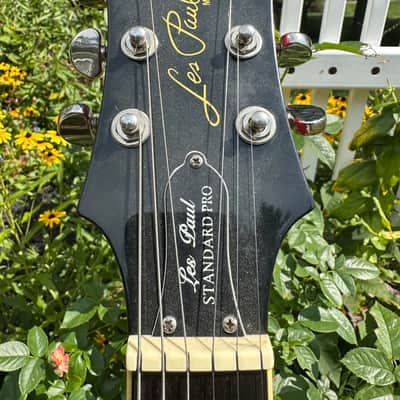 Epiphone Les Paul Standard Plus Top Pro image 7