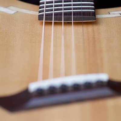 Soderlund Kestrel medium body acoustic in Pau Ferro and Sitka 2022 Hand rubbed oil finish image 14