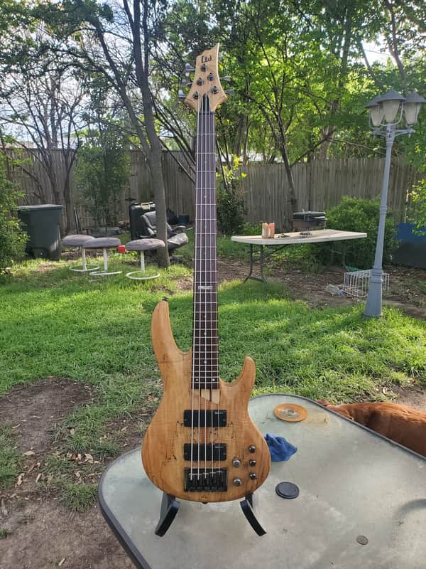 ESP LTD B-205SM 2019 - Present - Natural Satin