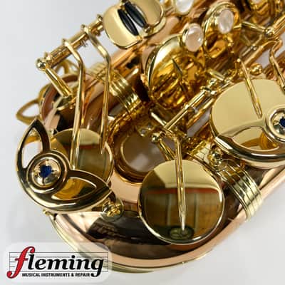 Yanagisawa AWO20 Elite Model Bronze Alto Saxophone imagen 4