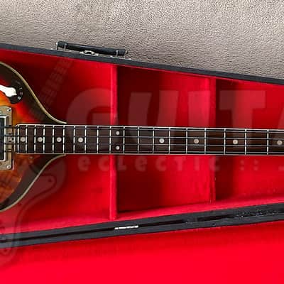 TEISCO FB-2 1968 SCROLL HEAD ***CLEARANCE*** VIOLIN BASS | Reverb