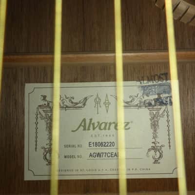 Alvarez AGW77CEAR Acoustic/Electric w/Case : Crowned & Dressed Frets image 5