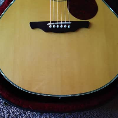 Alvarez AD90SCK Acoustic Electric Cutaway Guitar with TKL Hard Case image 6