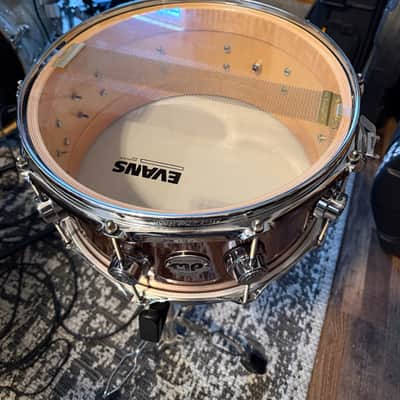 6.5x14 DW Collectors Series Maple VLT - Rose Copper Finishply image 6