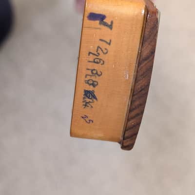 Fender Player Plus Stratocaster Neck 2023 - Pau Ferro image 9