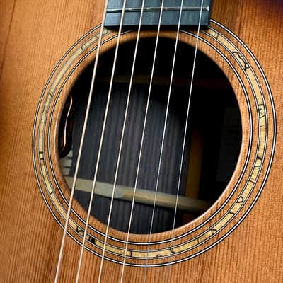 Breedlove Premier Concert Edgeburst CE 2023 image 6