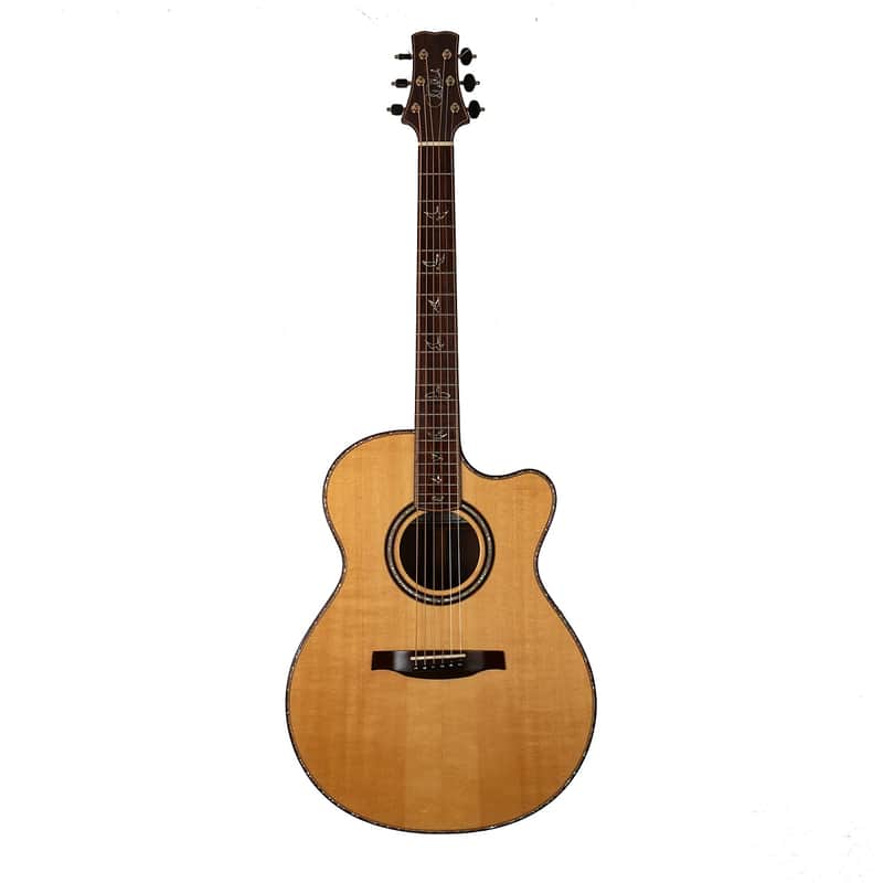 PRS Core Series Angelus (2008 - 2014) image 1