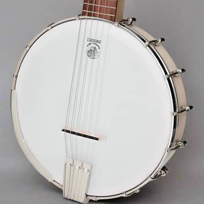 Deering Goodtime Six 6 String Banjo image 1