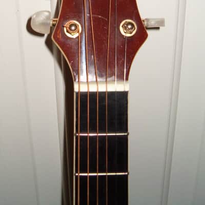 Delta Musical Instruments D901/SB Parlor Sized Acoustic Guitar 2003 Sunburst top Mahogany Stained Ba image 2