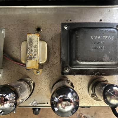 Fender AB763 Super Reverb Vintage 1965 w/ Tuki Cover + Footswitch image 4