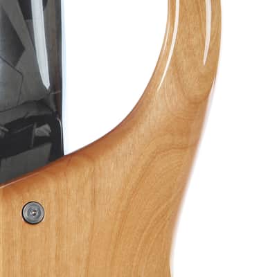 2004 Modulus Quantum Q 5 String Bass Chechen Top image 17