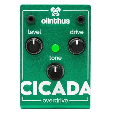 Olinthus Cicada Mini Overdrive Pedal image 1
