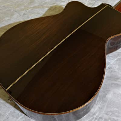 Kathy Wingert Model EVC - (Brazilian RW) image 15