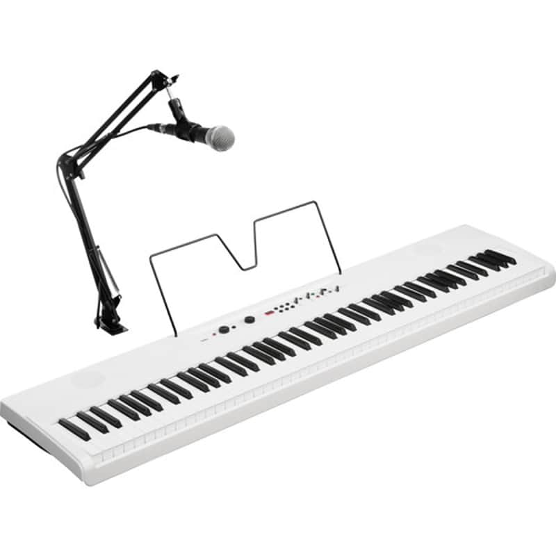 Korg L1LIVE Liano Live Digital Piano with Microphone image 1