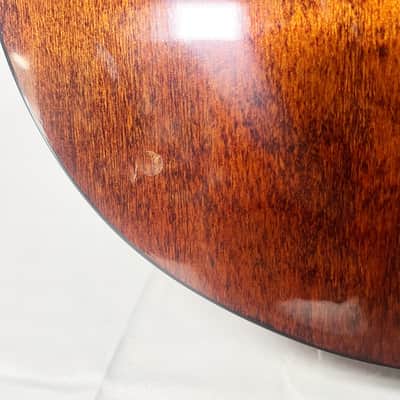 Jasmine S45 SK Natural/Gloss Acoustic Dreadnought W/Hard Case 2000s - Clear Gloss image 11