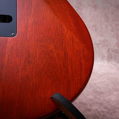 PRS USA Paul Reed Smith Signature Tremonti Tremolo "Burnt Maple Leaf + Rosewood" (2016)(Reserved) image 20