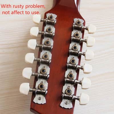 Custom 12 String Acoustic Guitar in Sunburst Finish, Laminated Spruce Top Body, Mahogany Neck image 5