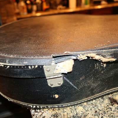 Mid to late 60' Gibson ES-330 ES-335 soft case image 15
