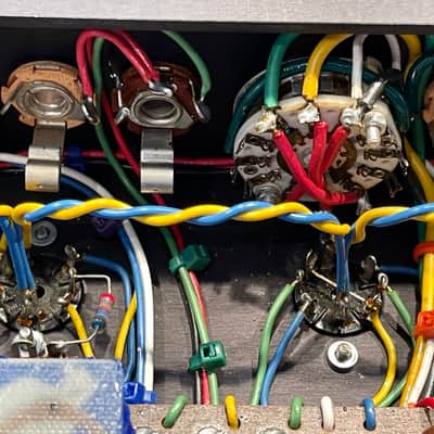 Dumble Overdrive Special with travel case image 22