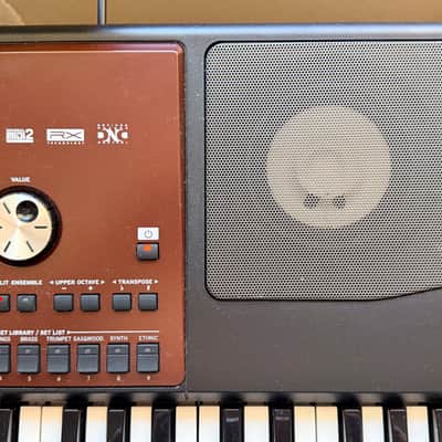 Korg Pa700 OR Professional Arranger - Oriental 61 Key image 3