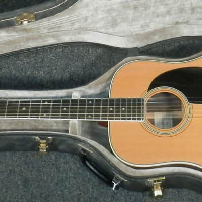 A LoPrinzi LR-20 Dreadnought Acoustic Guitar with case used image 2