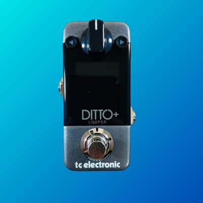 TC Electronic Ditto+ Looper | Reverb