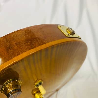 Gibson Les Paul Standard DC Plus Translucent Amber 2001 image 23