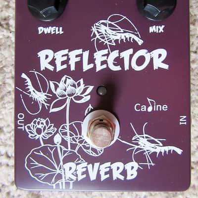 Caline Time Space Delay + Reflector Spring Reverb image 3