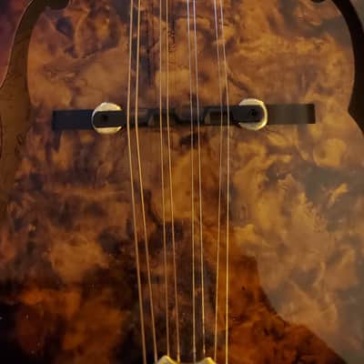 Morgan Monroe MMS-7  Mandolin with case image 8